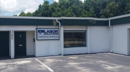 Labor Solutions Inc